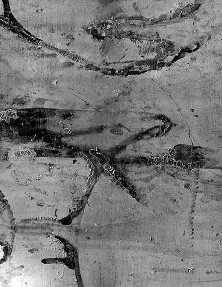 11 x 14 in paper negative